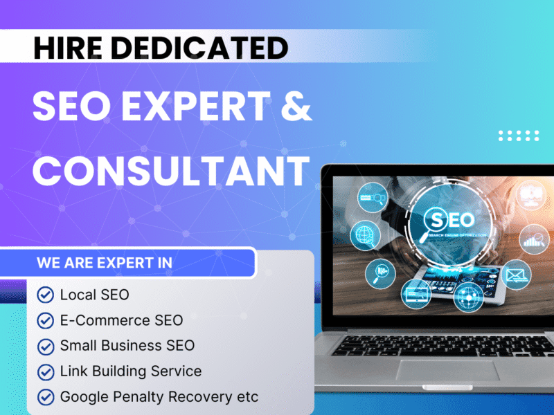Professional SEO Expert in India | Satheesseo.com